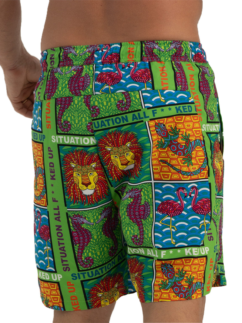 Salty Dog V3 Hızlı Kuruyan Mayo Şort - Eye Of The Tiger - Stafu Pro Series